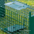 China Live Cage Trap for Small Animals Factory